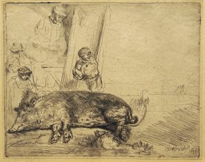 The Hog by Rembrandt van Rijn